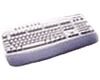 Internet Keyboard PS/2