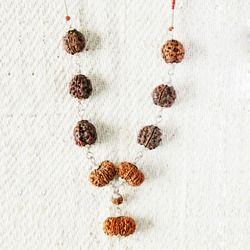 Shubh Labh Rudraksha Mala