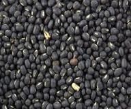 Urad Dal (Raw Black Gram)