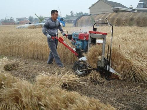 Wheat Reaper Binder Machine