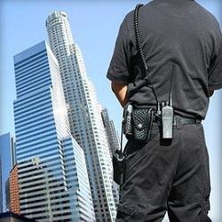 Brown Commercial Security Services
