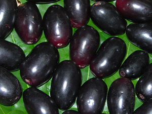 Fresh Jamun (Indian Black Berry)
