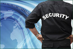 Security Consultancy Services