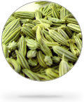 Fennel Seed