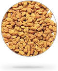 Fenugreek