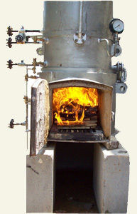 Transparent Solid Fuel Fired Steam Generator