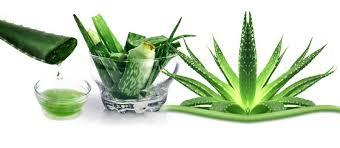 Aloe Vera Juice