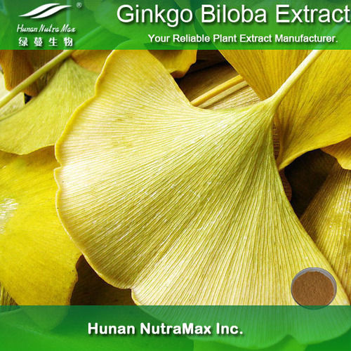 Ginkgo Biloba Extract - Ginkgoflavon Glycosides ≥24%, Total Terpene Lacosides ≥6%, Low Acid Content | Light Yellow to Brown Powder, HPLC Tested