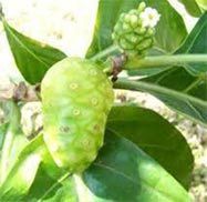 Noni Juice