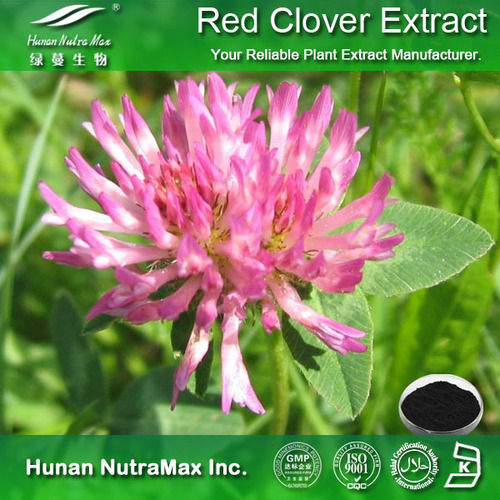 Red Clover Leaf Extract