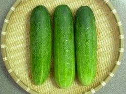 Fresh Cucumber