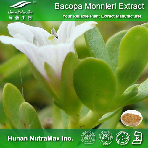 Bacopa Monnieri Extract Powder