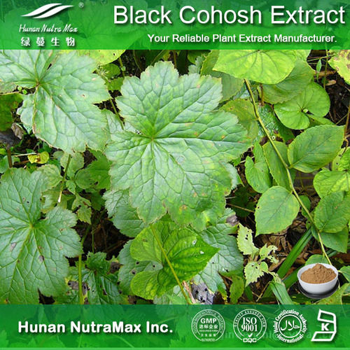 Black Cohosh Extract