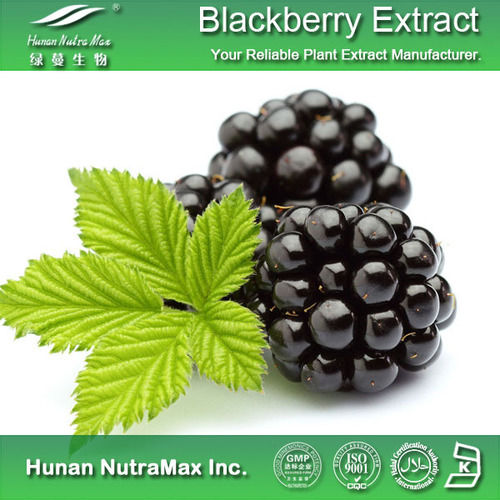  ब्लैकबेरी एक्सट्रैक्ट पाउडर 25% एंथोसायनिडिन 
