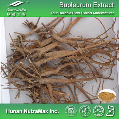 Bupleurum Chinense Extract Powder