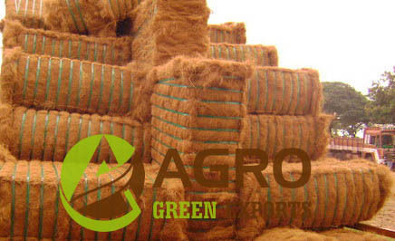 Agro Coir Fiber