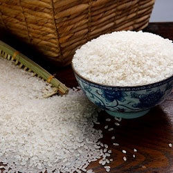 अजंता चावल