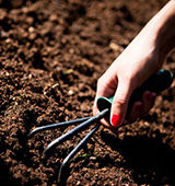 Soil Preparation Services