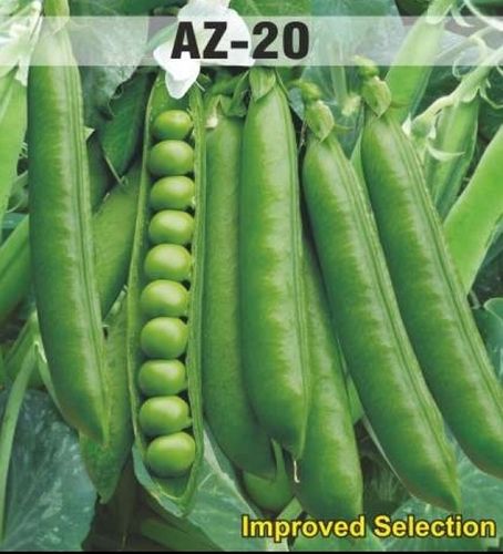 AZ 20 Peas Seeds