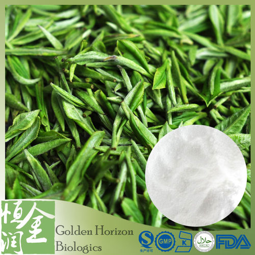 Green Tea Extract Tea Polyphenols