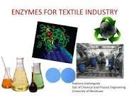 Textile Enzyme