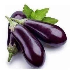 Black Brinjal