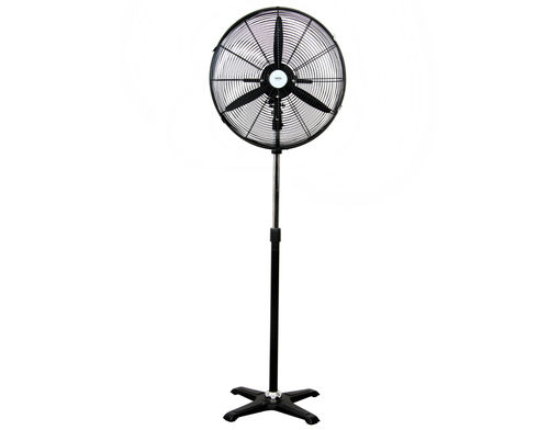 Dynasty Pedestal Fan