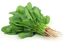 Green Spinach