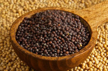 Mustard Seeds