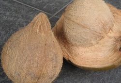 Semi Husked Mature Coconut