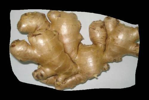 Fresh Ginger