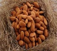 American Almond