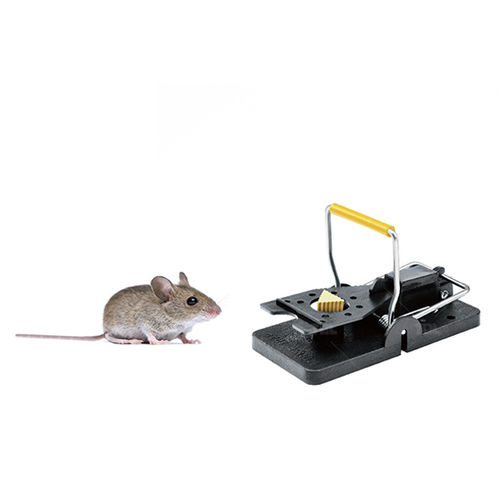 Rat Trap