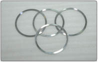 SRX And SBX RTJ Gaskets