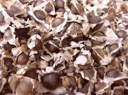 Natural Moringa Seed