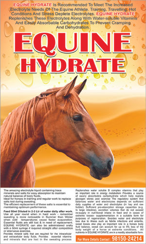 Horse Feed Supplement