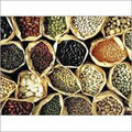 Transparent Indian Oil Seeds