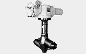 Globe Valve