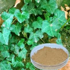 Ivy Extract