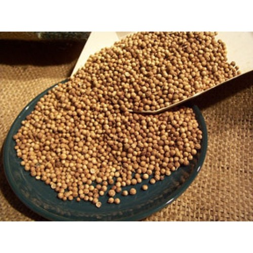 Argentine Whole Coriander Seeds