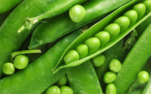 Green Fresh Peas
