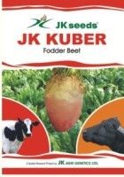 JK Kuber Fodder Beet