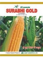 Surabhi Gold Maize Seed