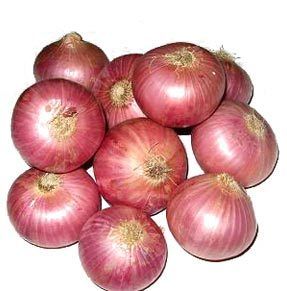 Fresh Onion