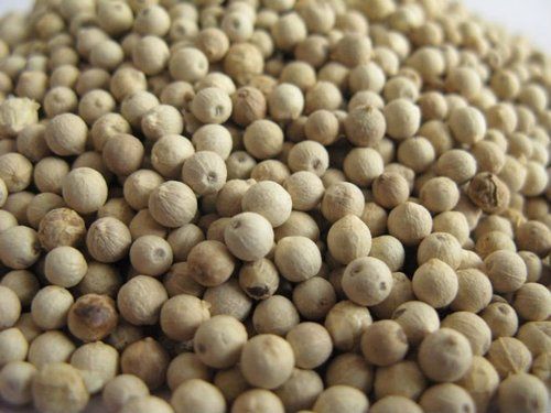 White Pepper