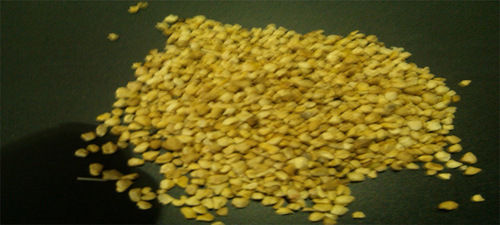 Corn Cob Media at Rs 40/kg, Corn Cob Grit Media in Faridabad