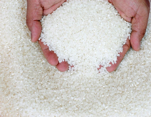 Pusa Basmati Rice Length: 360 Mm & 410 Mm Millimeter (Mm)