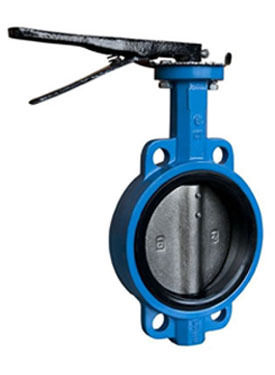 Concentric Soft Seated Butterfly Valve