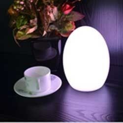 LED Egg Lamp