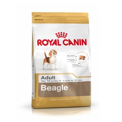 royal canin dog food